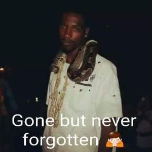 Meet your Posher, Lynette